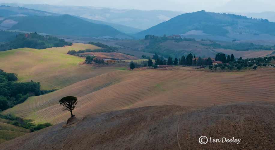 tuscanythumbs33
