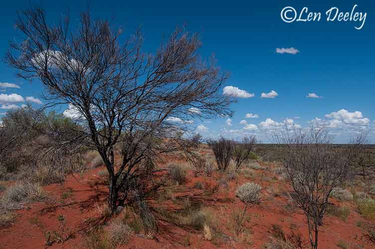 anz2013nov10