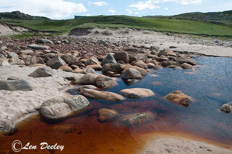 collberwick2014june19