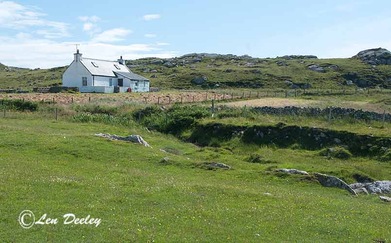 collberwick2014june22