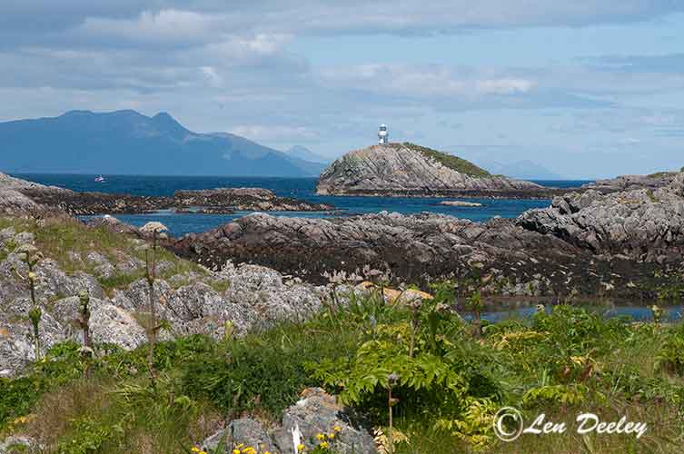 collberwick2014june26