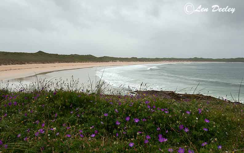 collberwick2014june43