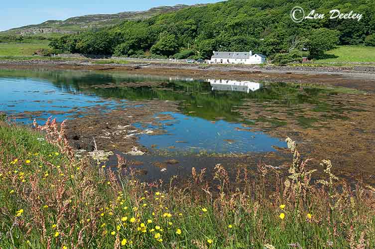 collberwick2014jun62