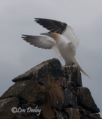 eastlothian203june19