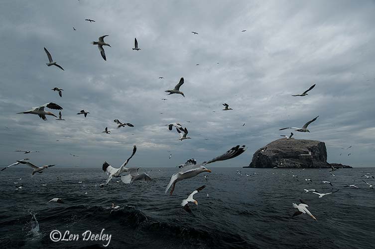 eastlothian203june24