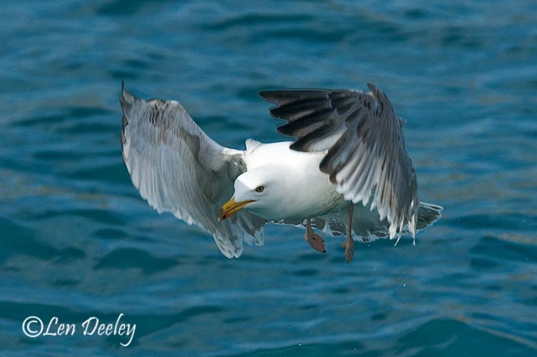 hebrides2008may14
