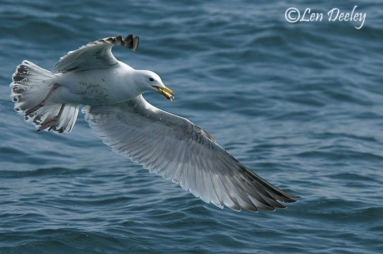 hebrides2008may15