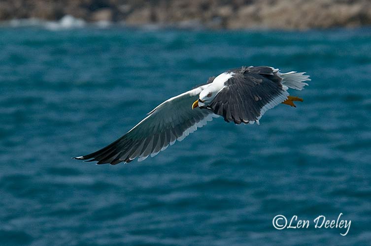 hebrides2008may17