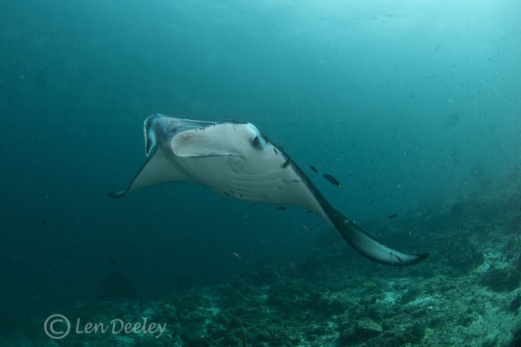 maldives09