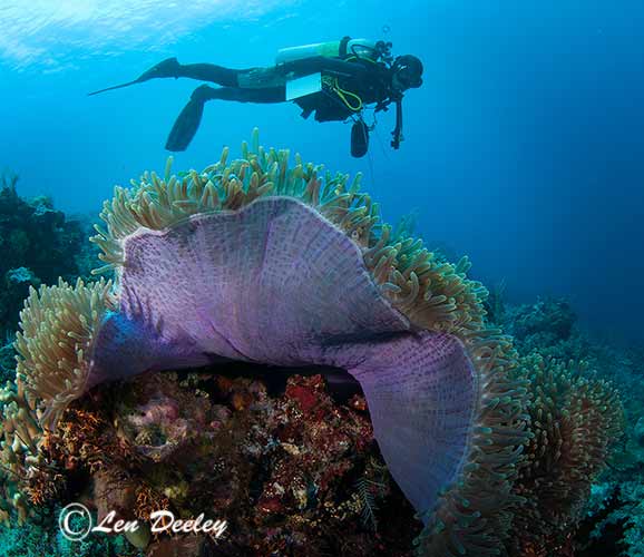 rajaampat2014sept17