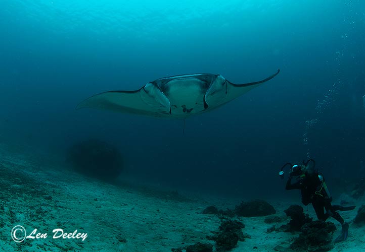 rajaampat2014sept57