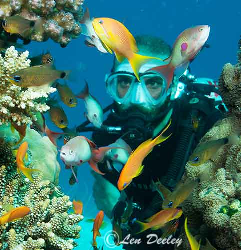 redsea2014nov086