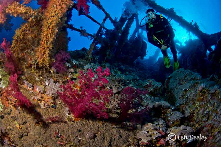 redseawrecksNumidia03