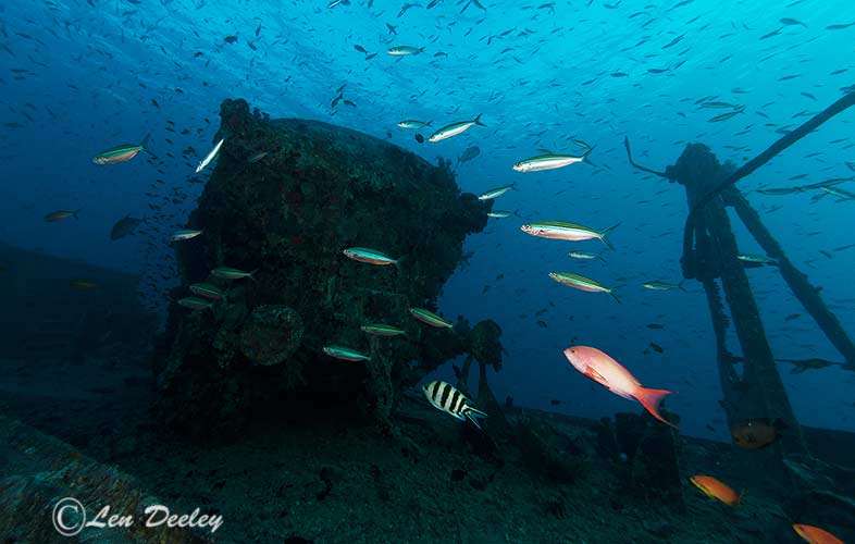 redseawrecksThistlegorm27