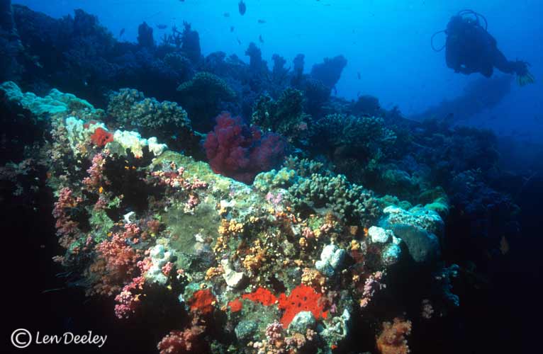 redseawrecksUlysses05
