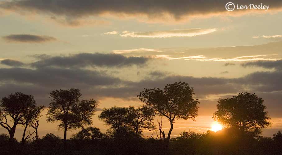 samozambiqueland26