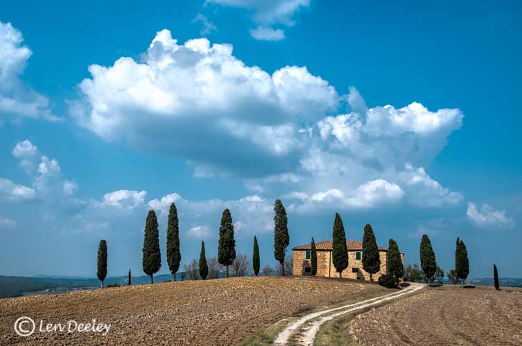tuscanythumbs14