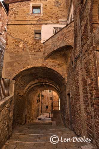 tuscanythumbs24