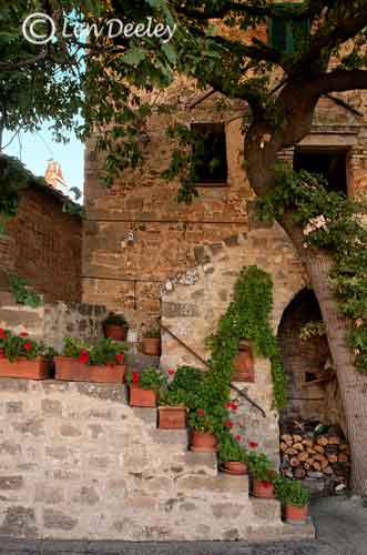 tuscanythumbs29
